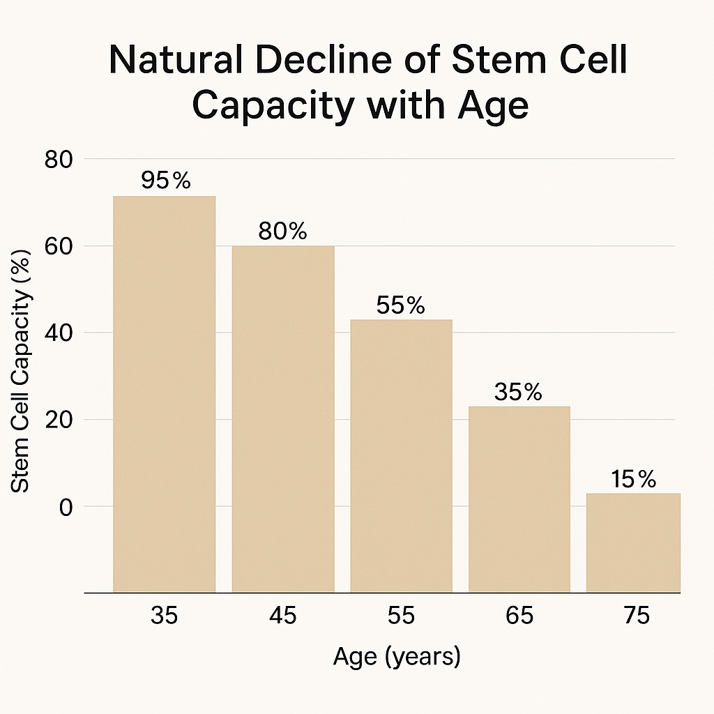 Decline of Stem Cells