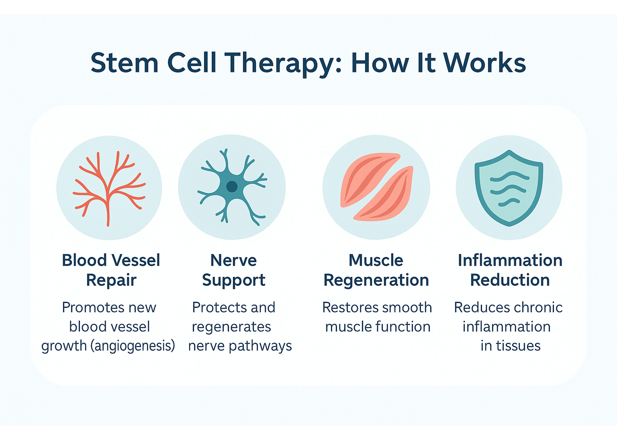 Stem Cells for Erictile Dysfunction 