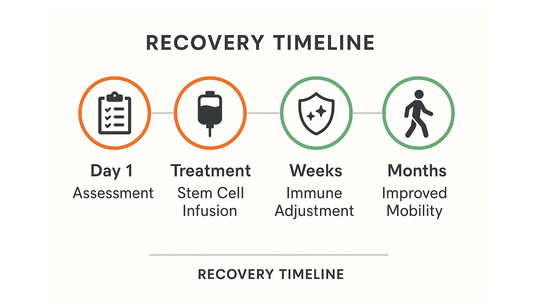 Four-stage recovery timeline showing assessment, stem cell treatment, weeks of immune adjustment, and improved mobility after several months.