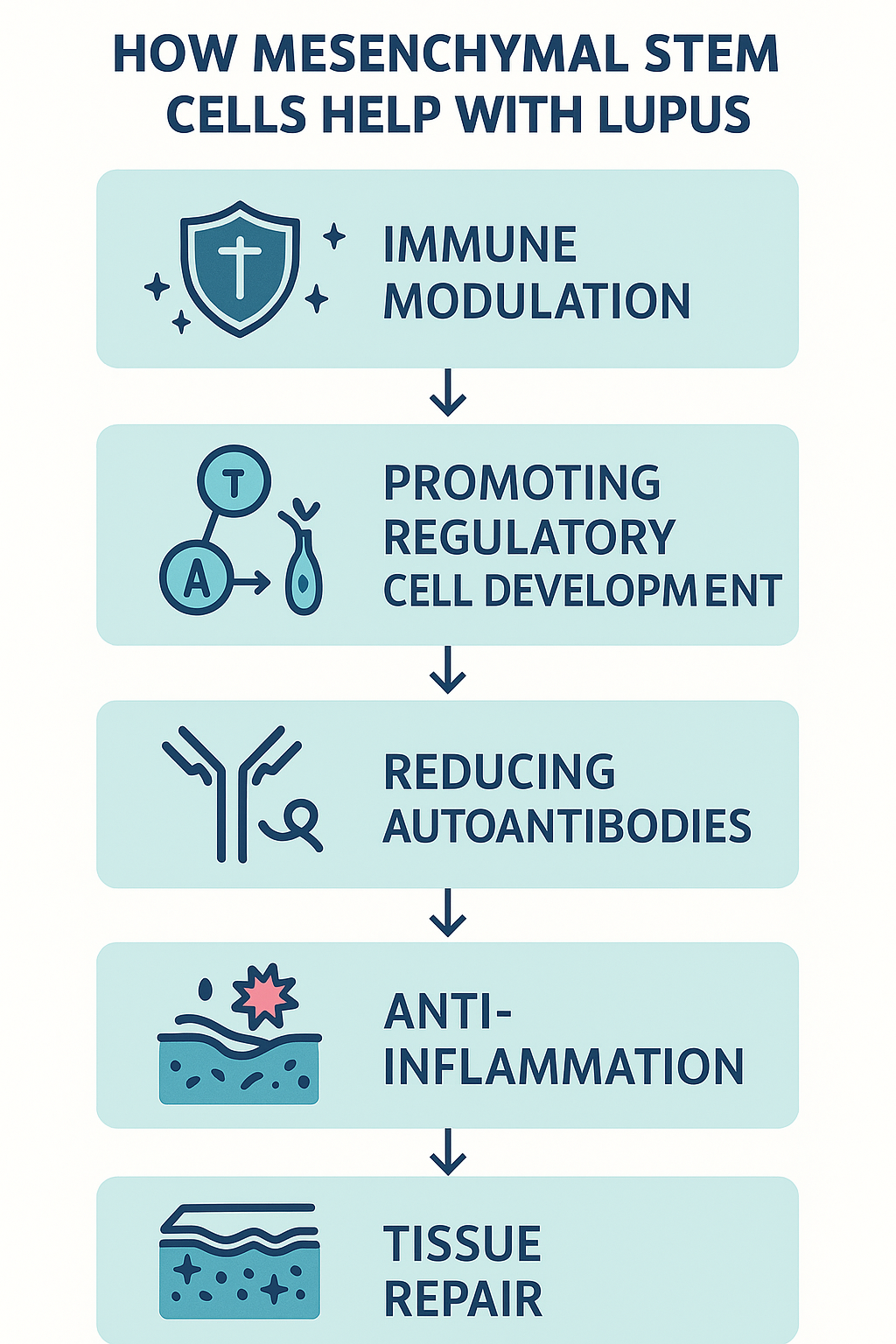 See how stem cells regulate immunity, reduce autoantibodies, calm inflammation, and support tissue repair in lupus patients.