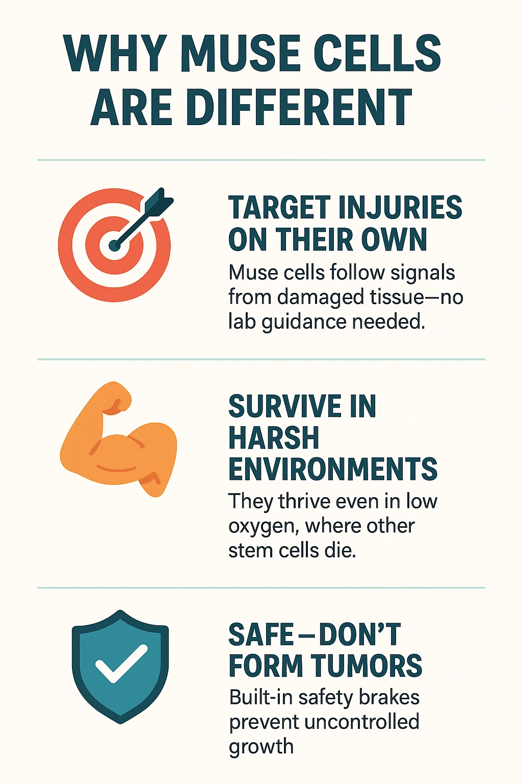 Discover the 3 key advantages of Muse stem cells—natural repair, survival in harsh conditions, and safety without tumor risk.