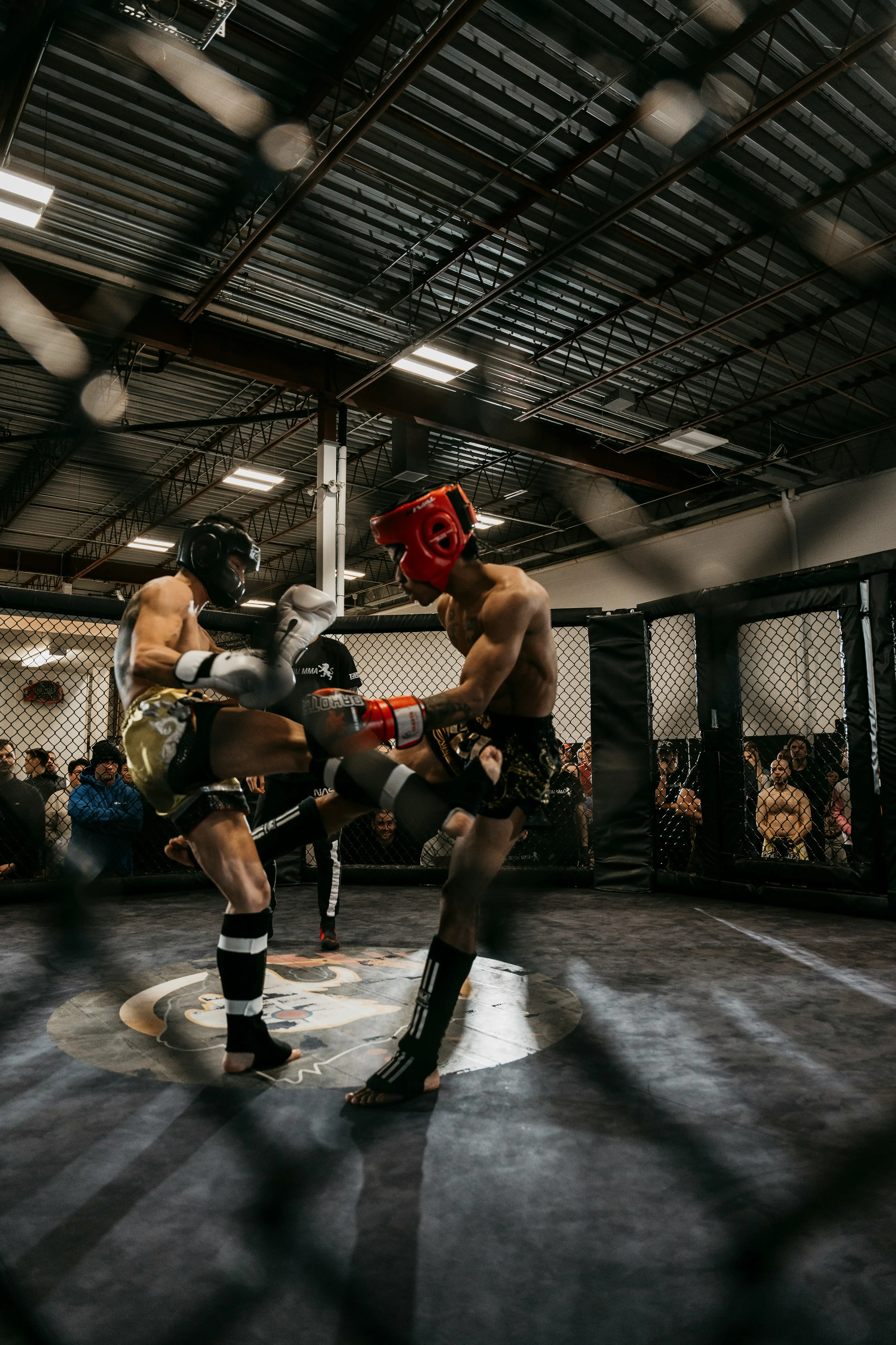 How Stem Cell Therapy Is Transforming Recovery and Longevity in MMA